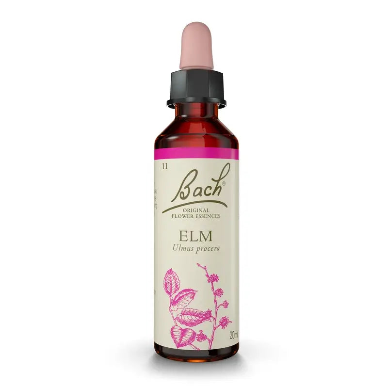 Bach Ulme 20 Ml