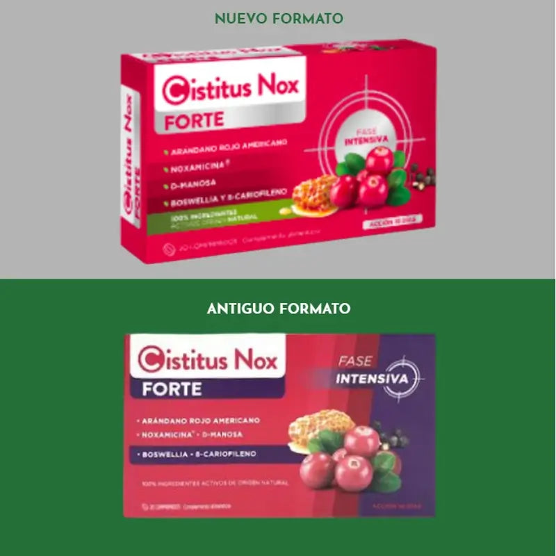 Cistitus Nox Forte, 20 Tabletten