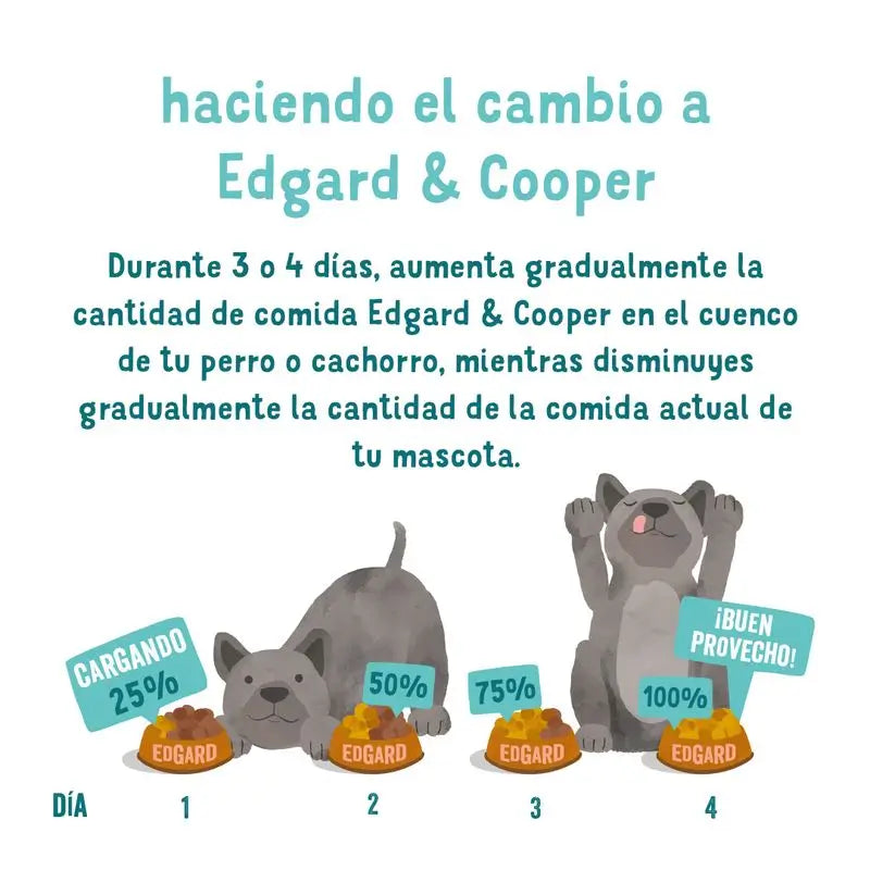 Edgard & Cooper Hundenassfutter 6x400g Lachs