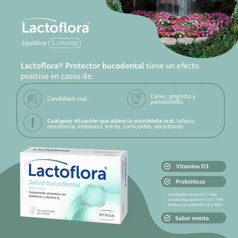 Lactoflora Bucodental Minze 30 Tabletten