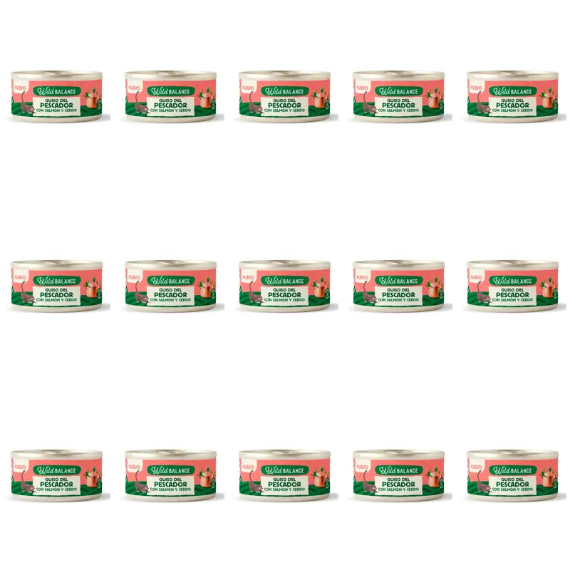 Wild Balance Dosenfischeintopf mit Lachs, Schweinefleisch und Gemüse für Katzen, 80 g, 15er-Pack
