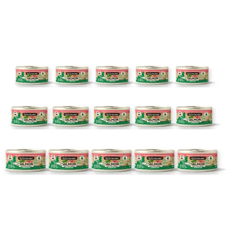 Wild Balance Dosenlachs & Rindfleisch mit Gemüse für Katzen, 120 g, 6er-Pack