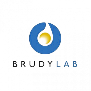 BRUDY