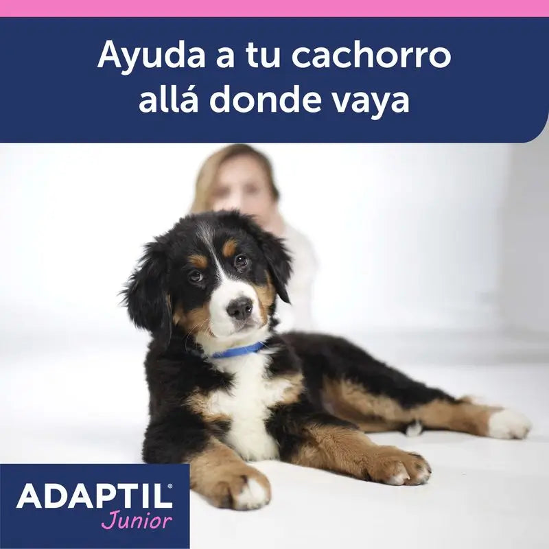 Ceva Adaptil Junior Halsband