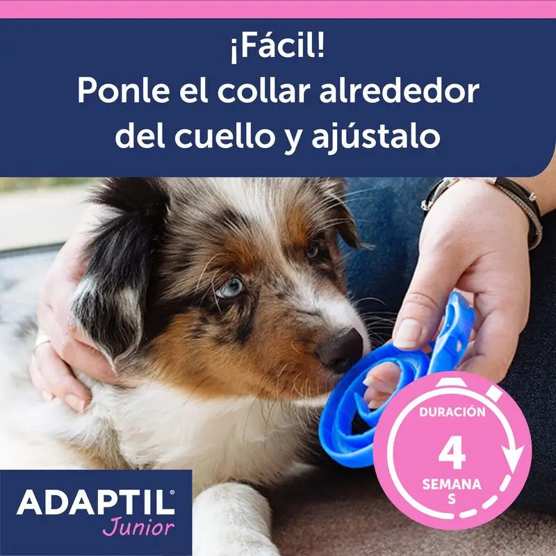 Ceva Adaptil Junior Halsband