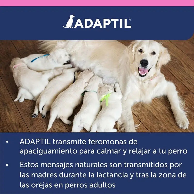 Ceva Adaptil Junior Halsband