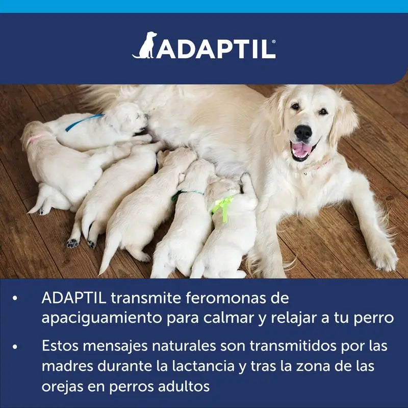 Adaptil Nachfüllpackung 48 ml, 1Monat