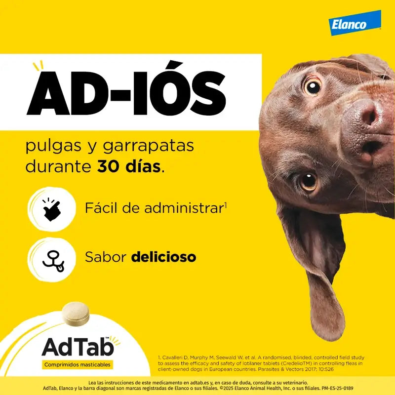 AdTab 112Mg Kautabletten Hunde 2,5-5,5Kg, 1Kpd