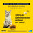 AdTab 12Mg Kautabletten Katzen 0,5-2Kg, 1Kpd