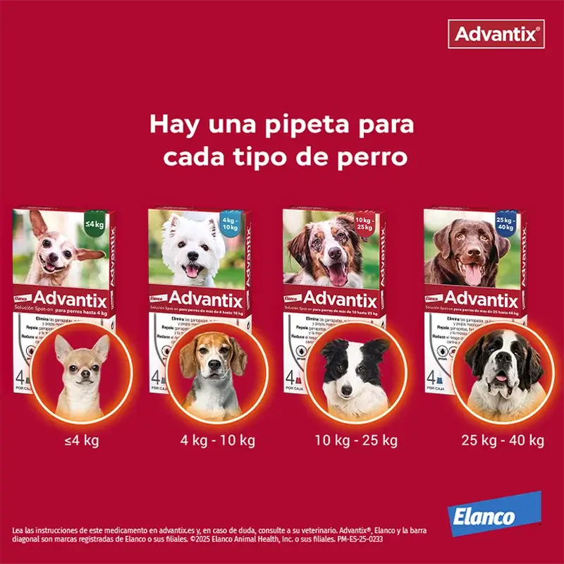 Advantix Antiparasitische Pipetten für Hunde von 10 bis 25 Kg 4pcs x 2.5 ml