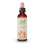 Bach Aspen, 20 ml