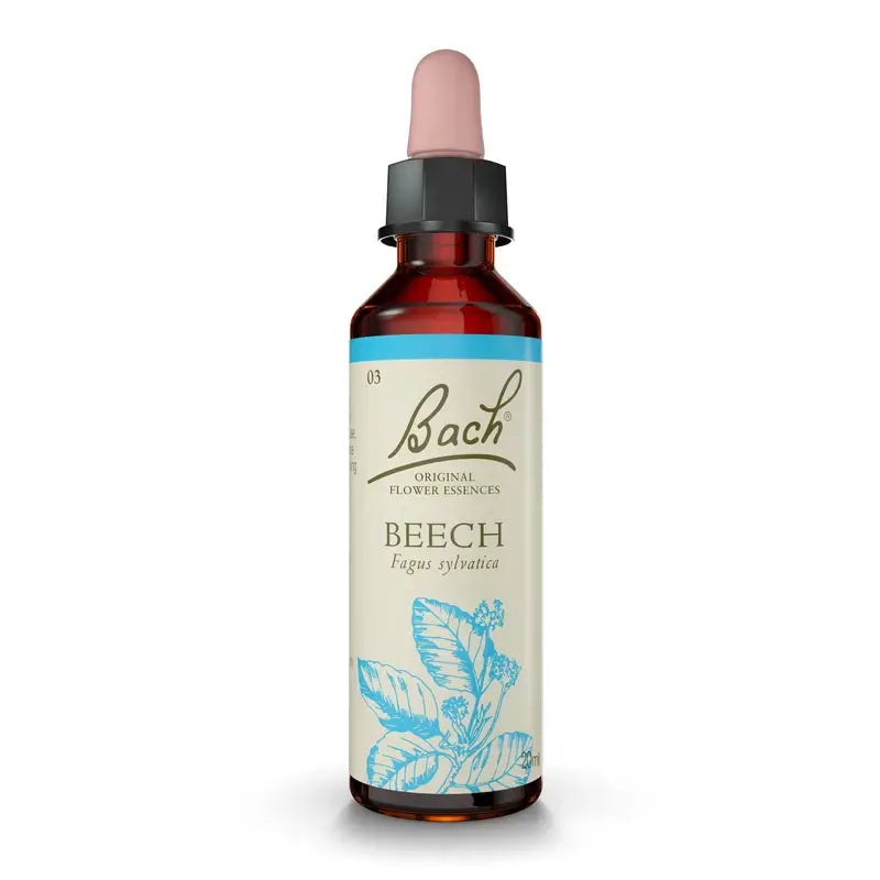 Bach Buche, 20 ml