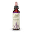 Bach Heidekraut 20 Ml