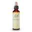 Bach Hornbeam 20 ml