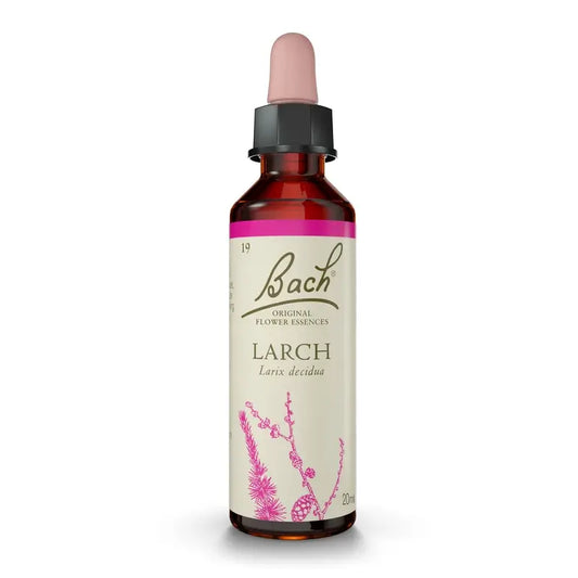 Bach Lärche 20 ml