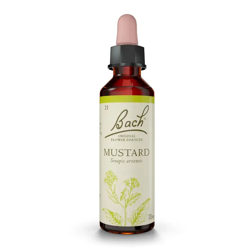 Bach Senf 20 ml