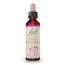 Bach Star of Bethlehem 20 Ml