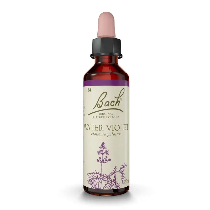 Bach Wasser Veilchen 20 ml