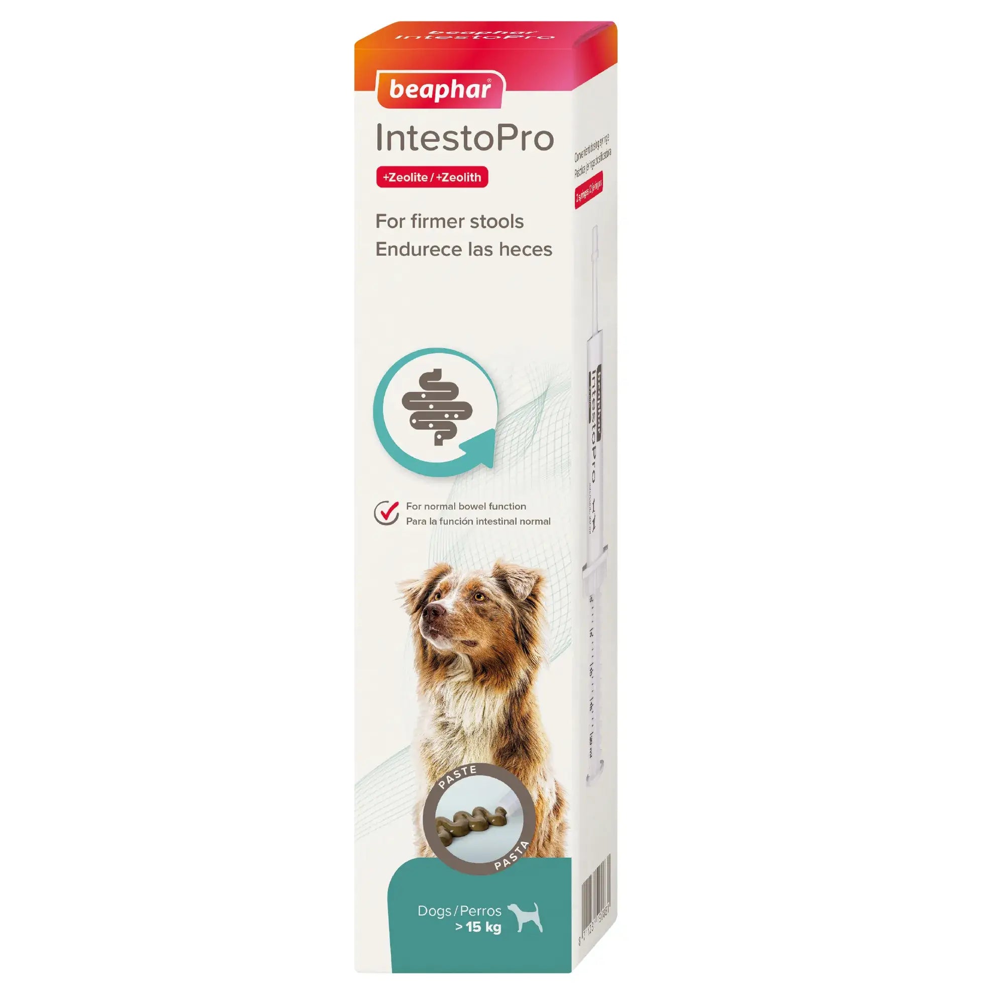 Beaphar IntestoPro Paste für Hunde, 20 ml