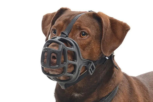Plastic Buster Muzzle Size 3
