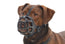 Plastic Buster Muzzle Size 5