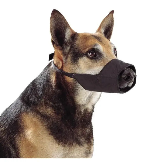 Buster Nylon-Maulkorb für Hunde, Größe 2