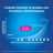 Clearblue Pack Frühschwangerschaftstest Analog 1 Test + Clearblue Ovulationstest 10 Teststäbchen