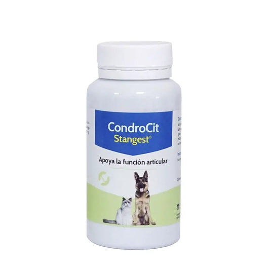 Stangest Chondrocit Stanvet, 60 tablets