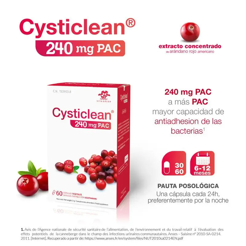 Cysticlean 240 Mg Pac, 60 Kapseln