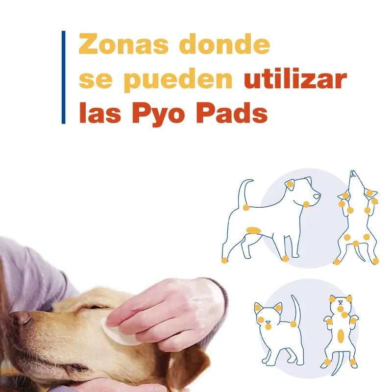 Douxo S3 Pyo, 30 Scheiben