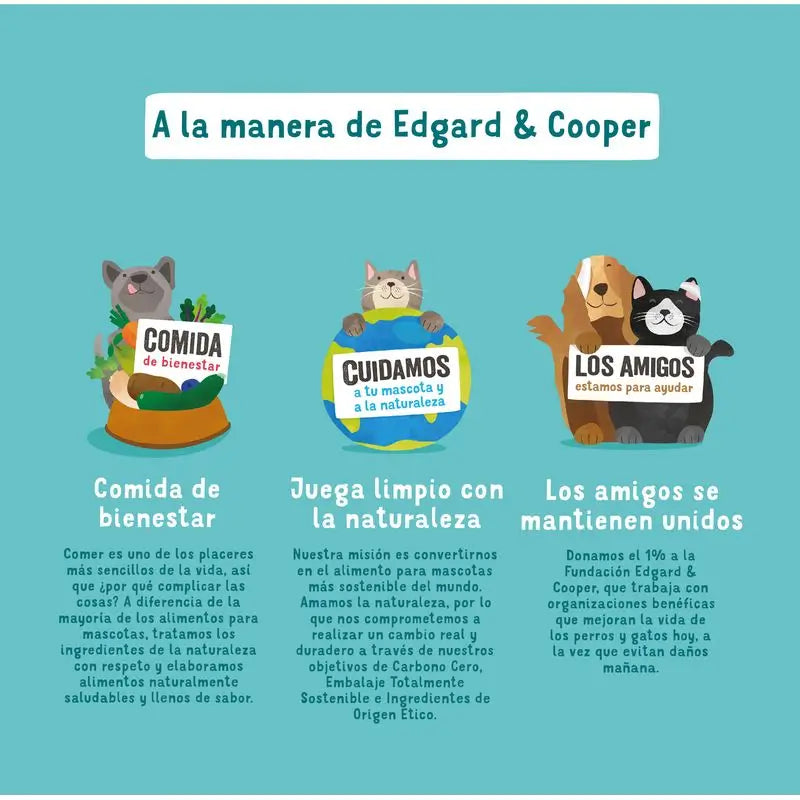 Edgard & Cooper Hundenassfutter 6x400g Lachs