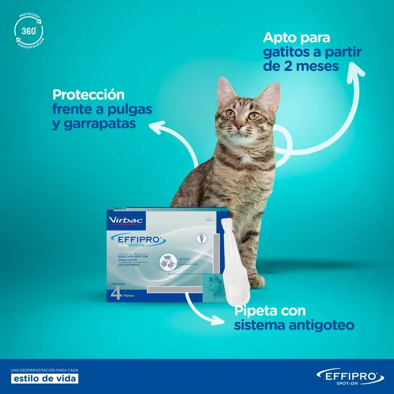 Effipro 50 Mg Spot-On Katzen, 24 Pipetten