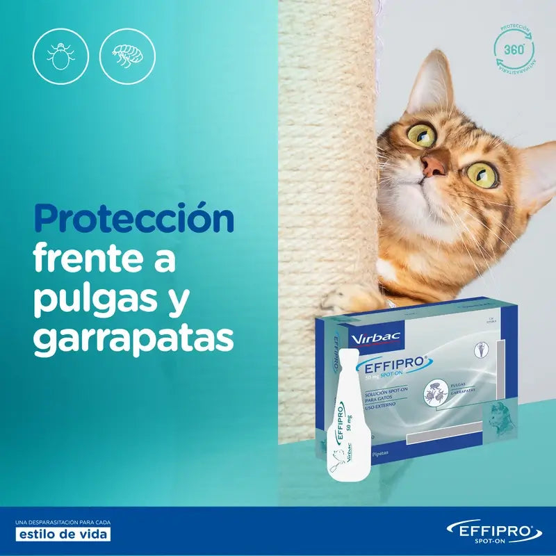 Effipro 50 Mg Spot-On Katzen, 24 Pipetten