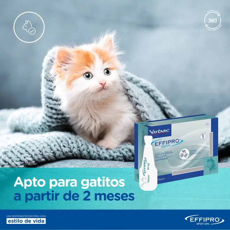 Effipro 50 Mg Spot-On Katzen, 24 Pipetten