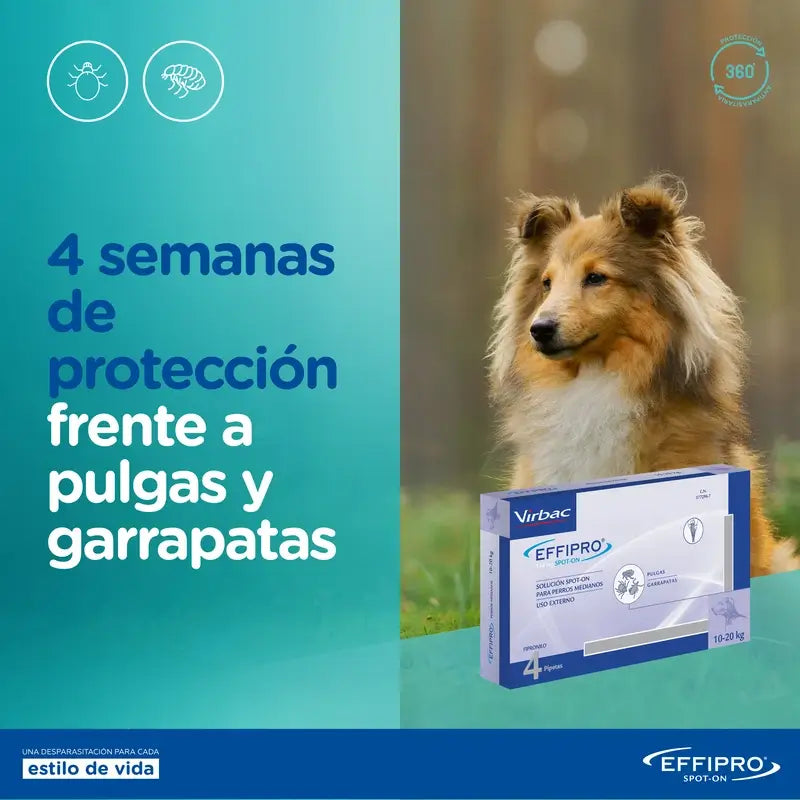 Effipro Spot-On Hund 402 Mg +40Kg, 24Pellets
