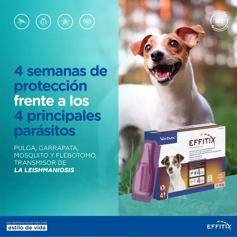 Effitix M Antiparasitikum Medium Hunde 10-20 Kg, 4 Pipetten