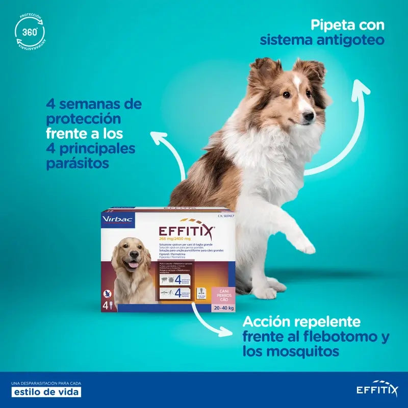 Effitix M Antiparasitikum Medium Hunde 10-20 Kg, 4 Pipetten
