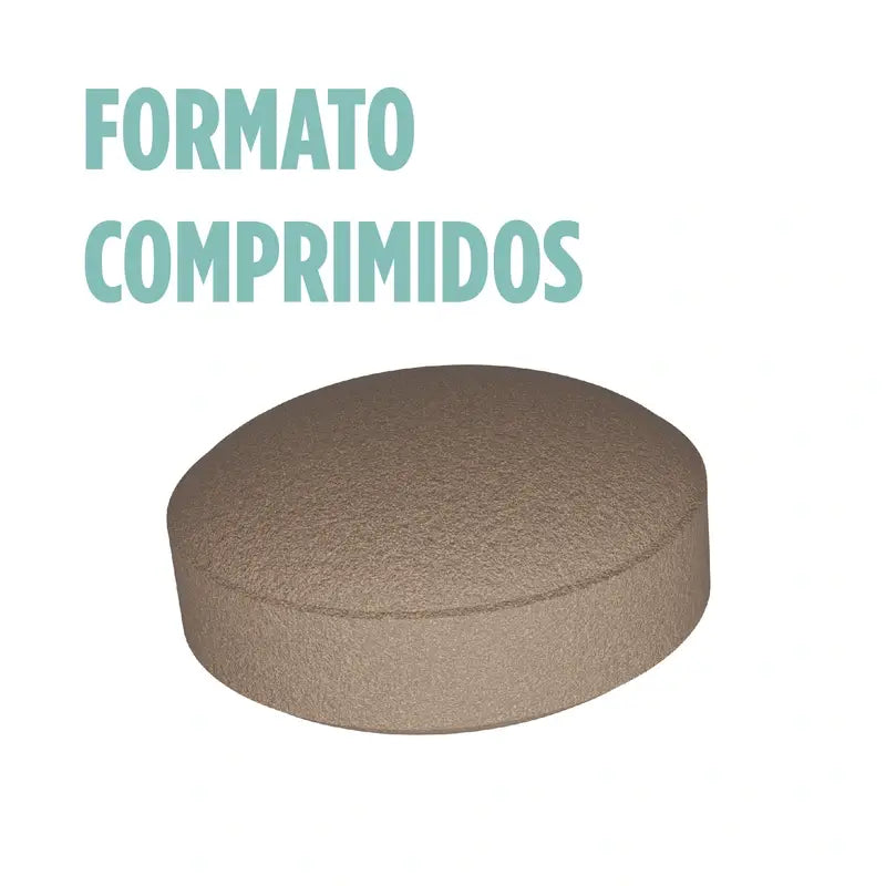 Eladiet Ginkoro, 90 Tabletten