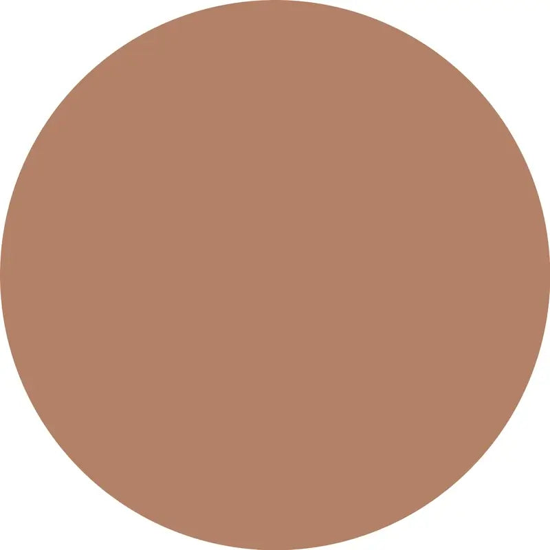 Essence Abdeckstift Camouflage+ Matt 190 , 8 ml