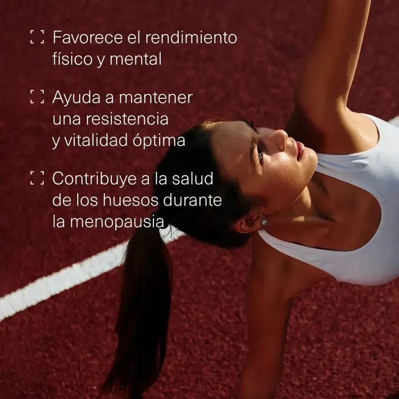 Aldous Maca-Extrakt, 400 Tabletten