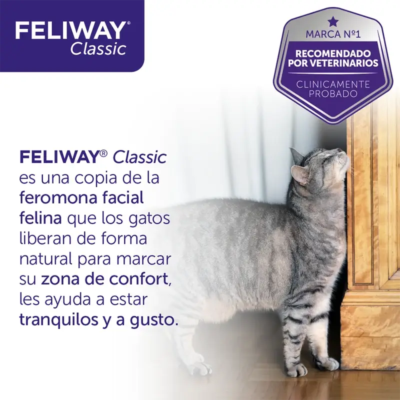 Feliway Klassisch 3X48 ml