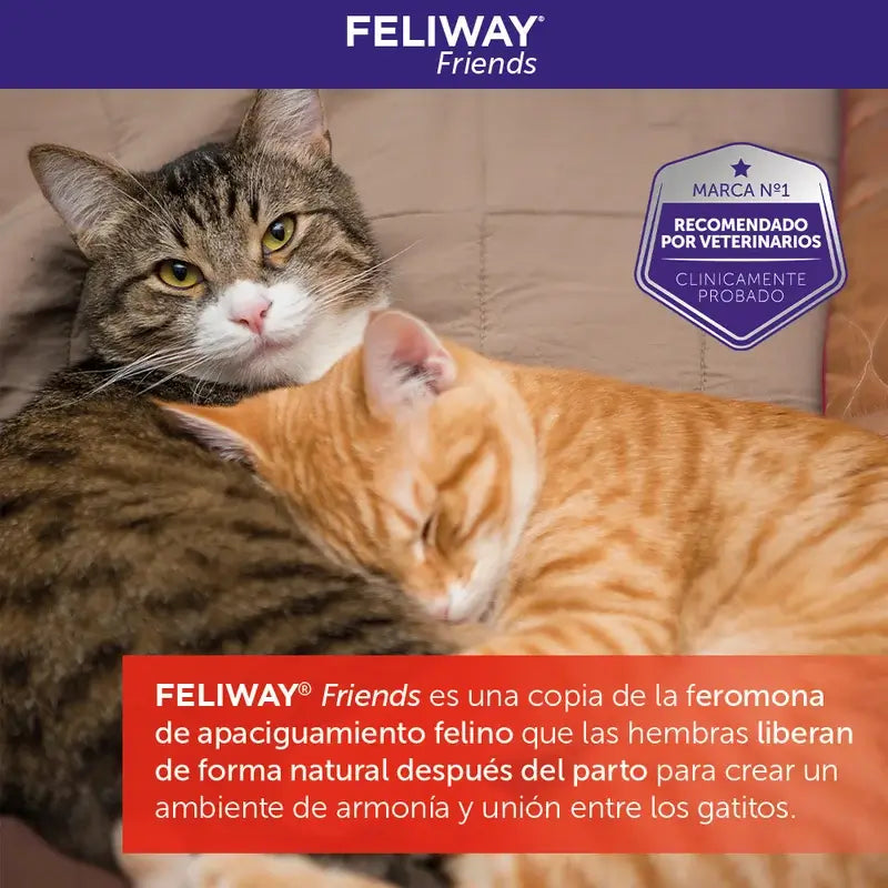 Ceva Feliway Friends Diffusor + Nachfüllung 48 ml