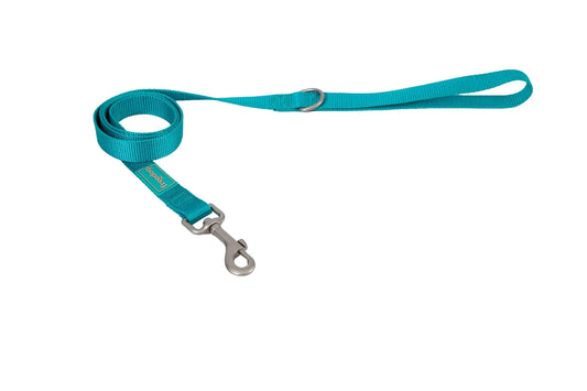Freedog Nylon-Leine Basic Türkis, 10 mm, 120 cm