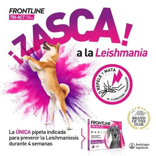 Frontline Tri-Act 10-20Kg, 3 Pipetten