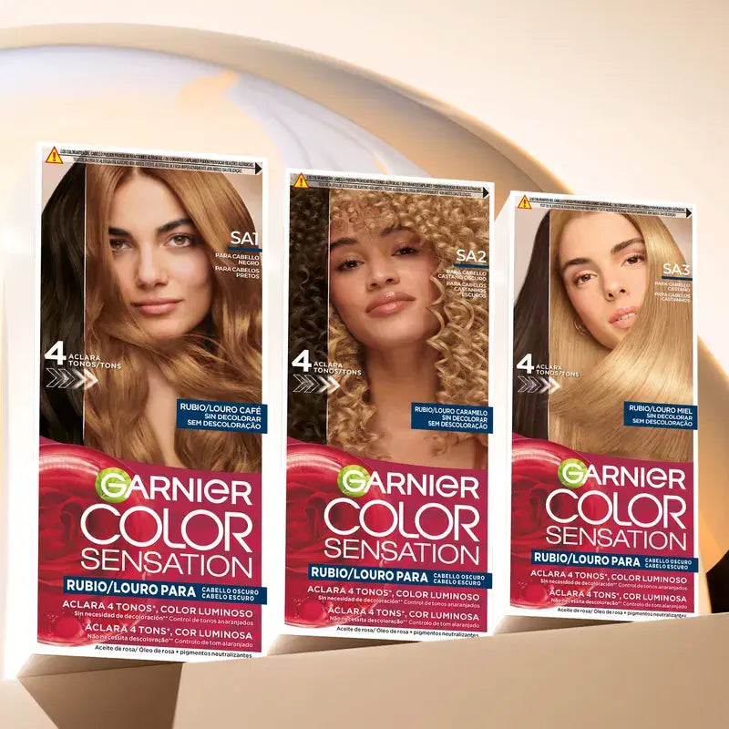 Garnier Farbe Sensation Mkit Sa1 Schwarzes Haar