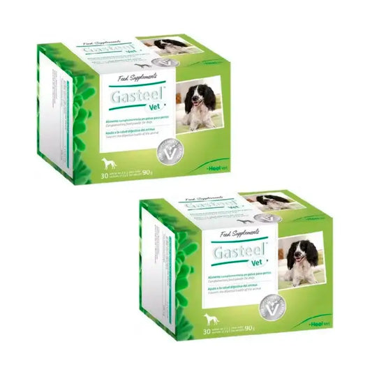 Heel Gasteel Vet, Packung mit 2 x 30 Beuteln