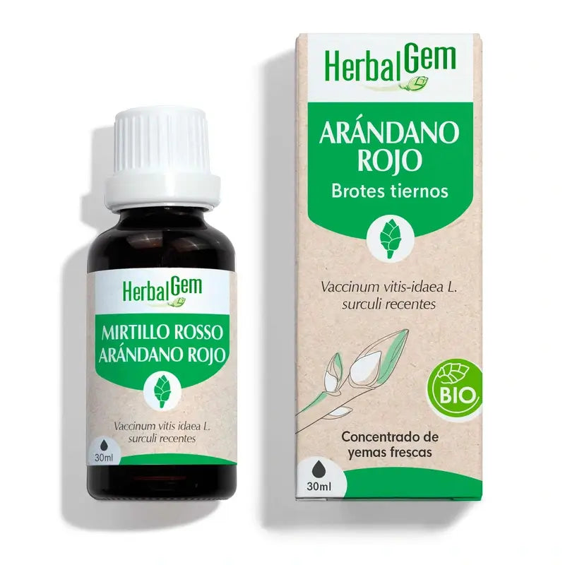 Herbalgem Bio Heidelbeere 30 Ml