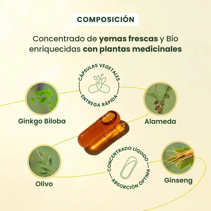 Herbalgem Gemmocaps Stress Protect Kognition, 30 Kapseln