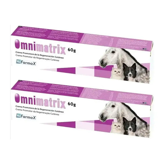 Omnimatrix-Heilsalbe, Packung 2 x 60 g
