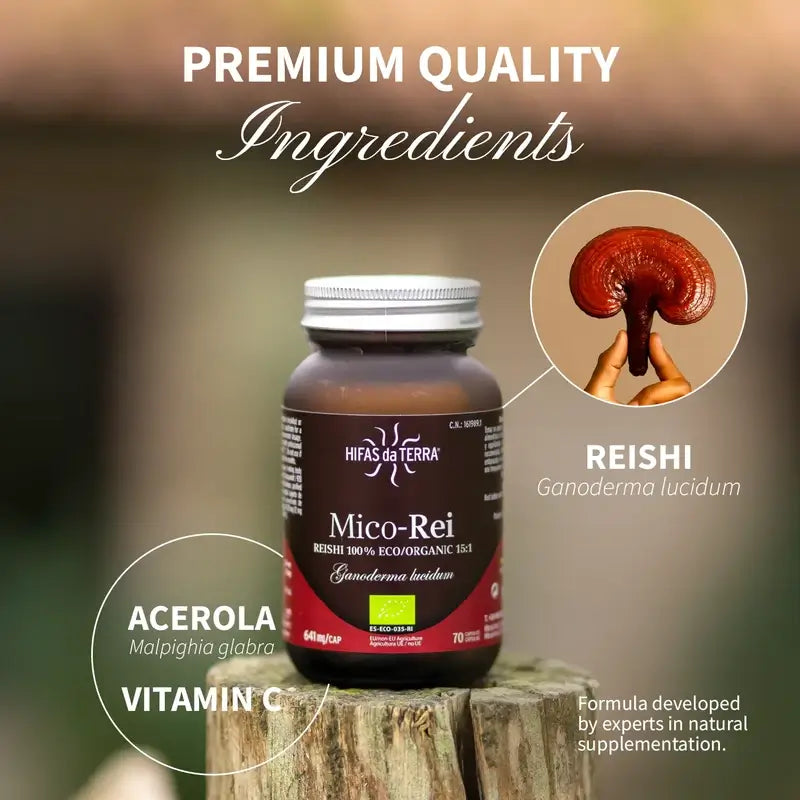Hyphae Da T Mico-Five Rei Reishi Extrakt Crystal Jar , 70 Kapseln